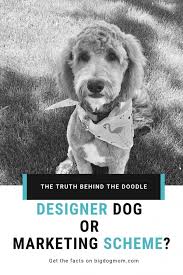 Check out our poodle doodle selection for the very best in unique or custom, handmade pieces from our shops. What Do You Get When You Cross A Doodle And An Unwich