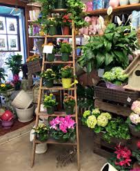 Flowers by steve haverhill מיקוד 01835. Florists