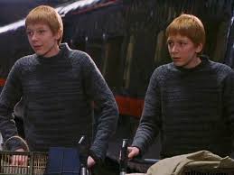 As muggles, we don't have any idea what it's like to be faced with a troll or a bogart and we've never played quiddich. Harry Potter Twins Didn T Know If They Were Playing Fred Or George