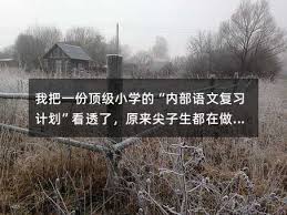 我把一份顶级小学的“内部语文复习计划”看透了，原来尖子生都在做 ...