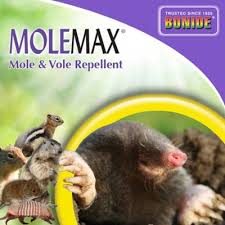 It operates retail farm & ranch stores and focuses on supplying the lifestyle needs of recreational farmers and ranchers, as well as tradesmen and small businesses. Bonide Molemax Ready To Spray Mole And Vole Repellent 1 Qt 690 At Tractor Supply Co