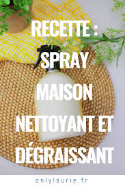 Spray Maison Nettoyant Et Degraissant Produit De Nettoyage Faits Maison Serre Bricolage Degraissant