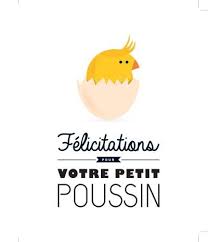 Carte De Felicitations Naissance Originale Gaspard Et Zoe Dites Le Avec Humour Carte Felicitation Naissance Carte Felicitation Felicitation Naissance