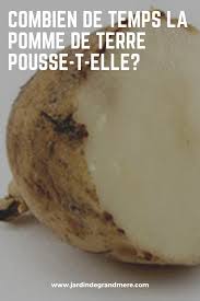 Epingle Par Ludivine Sur Jardinage