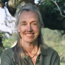 Kathleen Harrison's Instagram, Twitter & Facebook