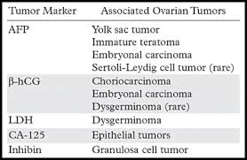 Got a call today that all of my blood work except for the tumor marker was normal. Review Of Ovarian Tumors In Children And Adolescents Radiologic Pathologic Correlation Radiographics