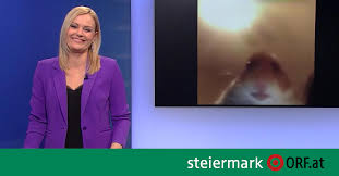 Orf iii setzt seine schwerpunkte insbesondere auf ausführliche und kompetent moderierte interviews zu themen aus den bereichen europapolitik und kultur (z. Tag 13 Oder Wenn Der Hamster Drei Mal Klingelt Steiermark Orf At Orf Steiermark