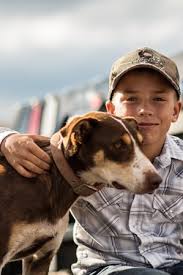 Total pet care from people who care! Dog Friendly National Parks Dog Friendly Utah Utah Office Of Tourism Visit Utah