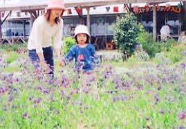九十九里ハーブガーデン 千葉県山武郡九十九里町