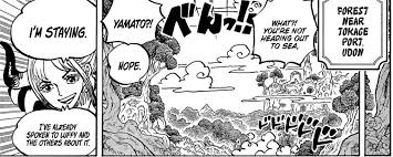 One Piece: The Straw Hat Pirates Just Got A New Crewmate