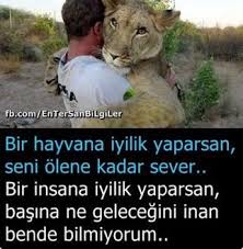 Hacer Kosem Adli Kullanicinin Kaydedilenler Panosundaki Pin Hayvan Hayvanlar Guzel Soz