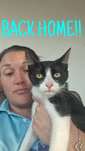 Cat stuck in tree in West Acres