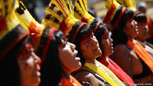 Descubrir el amazonas a fondo era una de las cosas que debía hacer en mi vida. Indigenas De Brasil Bolivia Colombia Ecuador Y Peru Piden Intervencion De Cidh Las Noticias Y Analisis Mas Importantes En America Latina Dw 01 10 2020