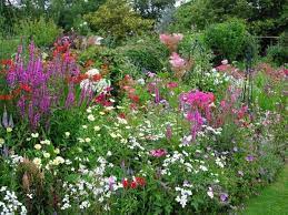 Garden Edging Ideas Bunnings Bunnings Edging Garden Ideas Backyarddesign Garden Borders Flower Garden Design Landscape Borders