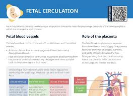Image result for Delayed Transition from Fetal Circulation