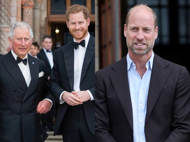 Was Prince William at Prince Harry & King Charles Secret Meeting?