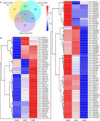Bottom eight teams are sent to the division 2. Integrated Analysis Of Mirnas And Their Targets Reveals That Mir319c Tcp2 Regulates Apical Bud Burst In Tea Plant Camellia Sinensis Springerlink