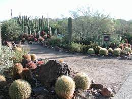 For information on how to build a cactus garden, read on. Cactus Garden