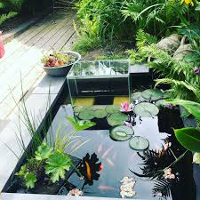 vijver idee watertoren voor vissen vijver tuin watertoren