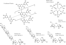 Plant Proteins From Legumes Springerlink