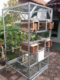 Selamat datang di toko kami1466970406harap baja deskripsi dulu yanama produk : Cara Membuat Kandang Ternak Lovebird Yang Baik Peternakan Dan Perkebunan