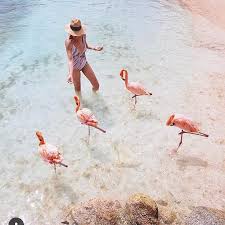 Diverse sono le storie in merito, nessuna è. Instagram I 10 Posti Piu Belli Di Aruba Viaggiare News