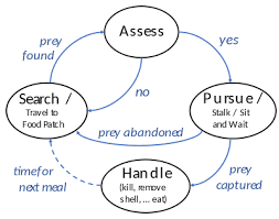 The independent variable (on the. Predation Wikipedia