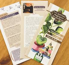 Flyers Perrine Bouvard Naturopathe A Lyon Naturopathie Bouvard Cuisine