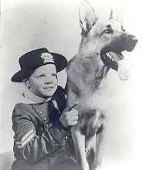 In this spotlight on entertainment segment, host john malos interviews celebrity guest lee aaker from the classic television show, rin tin tin. Who Is Lee Aaker Dating Lee Aaker Girlfriend Wife