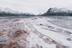 It does not occur in most of the tropical zone. 7 Reasons To Add Vesteralen To Your Northern Norway Itinerary Heart My Backpack