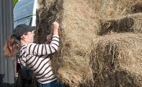 Most horses can't consume more than 2% of their overall body weight, so as a general rule of thumb, the average 500kg horse will eat 10kg of food per day. Horses And Hay Best Types Of Hay For Horses