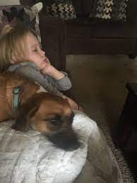 Maybe you would like to learn more about one of these? Pets For Adoption At Hart In Cincinnati Oh Petfinder