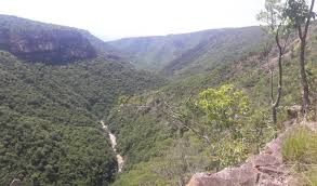 Learn about nature conservation in tanzania, including environmental issues and resources from the nature conservancy. Roadmap To Tanzania S First Miombo Nature Reserve Iucn