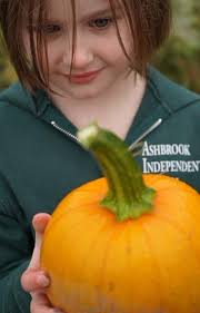 NORTHSTAR 23-24 by ashbrookschool