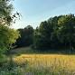 Morning Outdoor Yoga at Brinton Run Preserve