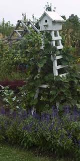 Pin By Dani Rescue Dog Mom On For The Birds Wooden Garden Planters Bird Houses Garden Birdhouses