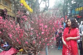 Tet in a Hanoi family: Out with the old, in with the new