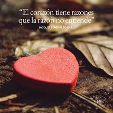 25 Frases De Sentimientos Y Emociones Que Deberias Conocer