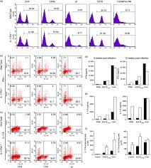 Tereza juščíková přijela na konci 90. Mice Genetically Inactivated In Interleukin 17a Receptor Are Defective In Long Term Control Of Mycobacterium Tuberculosis Infection Freches 2013 Immunology Wiley Online Library