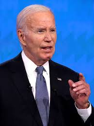 Image result for Bidens elliotii