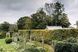 A Contemporary Garden Around A 17th Century Farmhouse Moss Garden Sussex Gardens Chris Moss