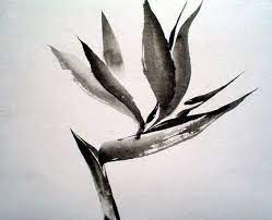 Http Www Jeankigel Com Bird 20of 20paradise 20sumi E 20jean 20kigel Jpg Sumi E Painting Japanese Art Birds Of Paradise