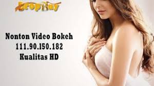 111.90.l50.204 japanese video apk is one such video app that is quite popular and keeps you engaged for hours. 1111 90 L50 208 Archives Dropbuy