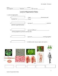 The students have to read the text and answer the questions ab. Levels Of Organization Notes