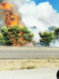 Lecture du monde en cours sur un autre appareil. Societe Incendies Dans Les Bouches Du Rhone 6000 M2 Brules Dans Le Nord D Aix Et 10 Hectares A Rognac Trois Reprises Traitees Autour De Martigues Suivez Notre Direct La Provence