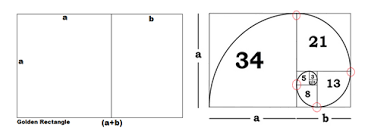 Forex Trading Guide What Are Golden Ratio Golden Rectangle