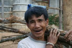 agroforestry Archives