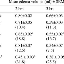 Image result for Marantochloa leucantha