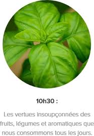 Les Legumes D Aure