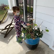 I am sailing to england. The Agonizing Wait For My 4 Year Old S Coronavirus Test Results The New York Times